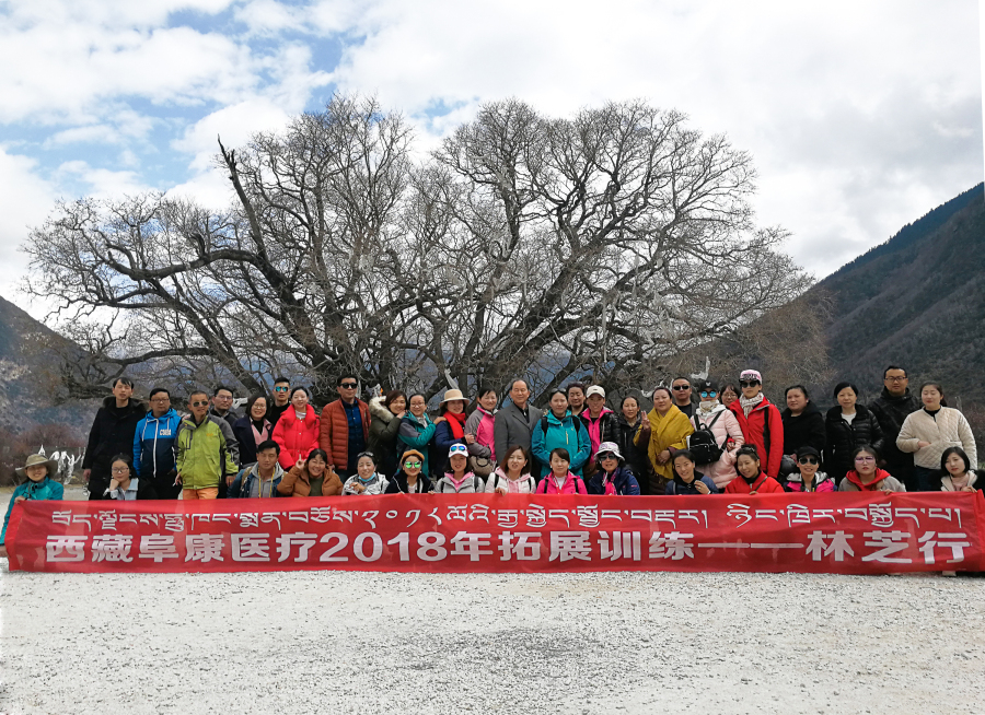 西藏阜康醫(yī)療2018年拓展訓(xùn)練——增強(qiáng)團(tuán)隊(duì)凝聚力、提升團(tuán)隊(duì)協(xié)作能力，更好地為患者服務(wù)