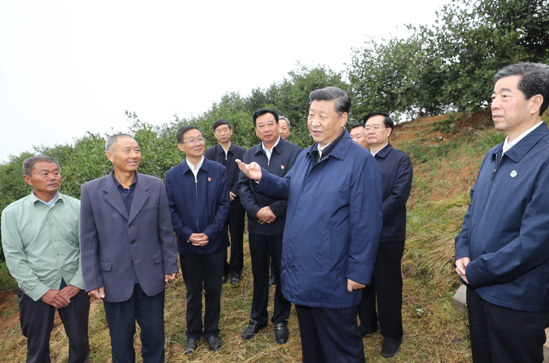 　　9月16日至18日，中共中央總書(shū)記、國(guó)家主席、中央軍委主席習(xí)近平在河南考察。這是17日上午，習(xí)近平來(lái)到信陽(yáng)市光山縣槐店鄉(xiāng)司馬光油茶園，同正在勞作的村民和管理人員交流。 新華社記者 鞠鵬 攝