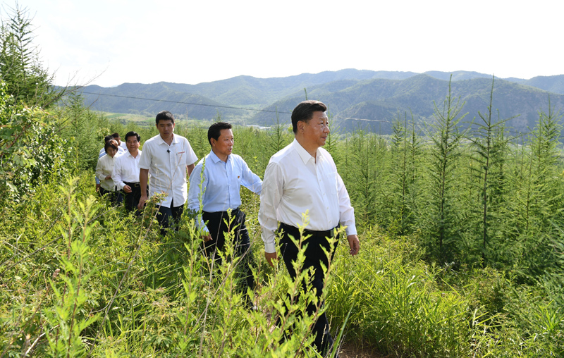 7月15日至16日，中共中央總書記、國家主席、中央軍委主席習(xí)近平在內(nèi)蒙古考察并指導(dǎo)開展“不忘初心、牢記使命”主題教育。這是15日下午，習(xí)近平在赤峰市喀喇沁旗馬鞍山林場林區(qū)，沿著崎嶇的護(hù)林小道察看林木長勢。